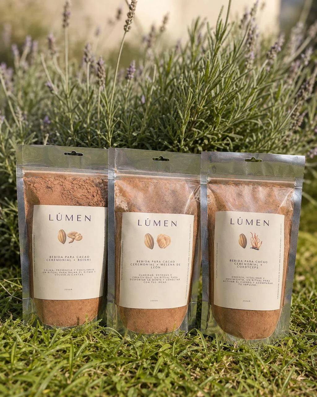 Las tres variedades de cacao de Lúmen juntas en el jardín